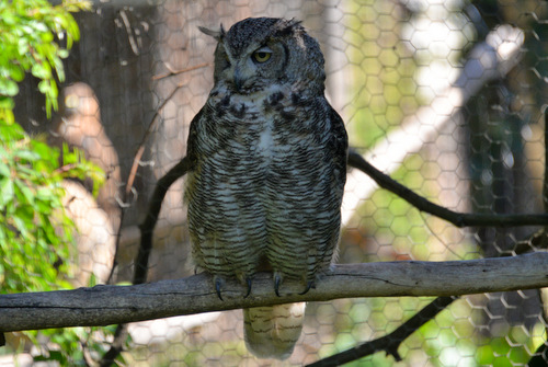 World of Birds Wildlife Sanctuary.